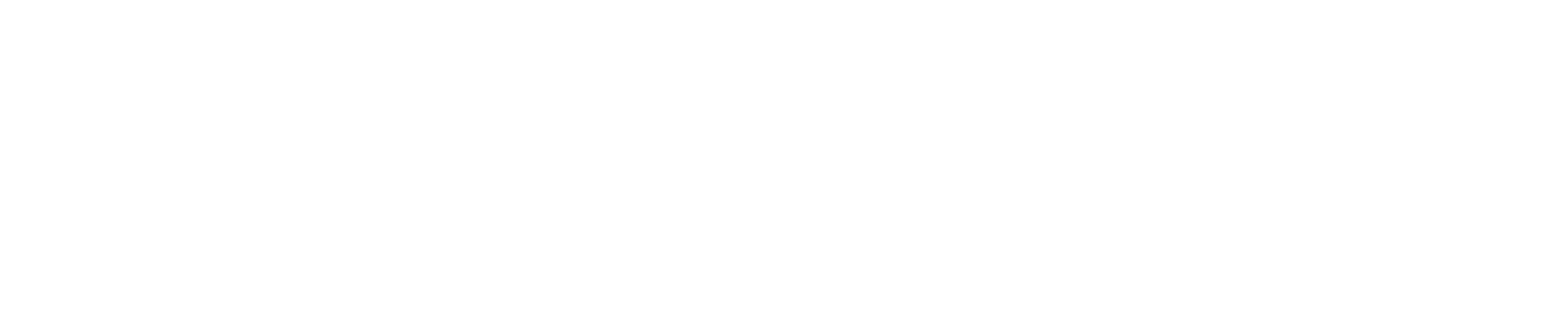 tiktokdl Website Logo
