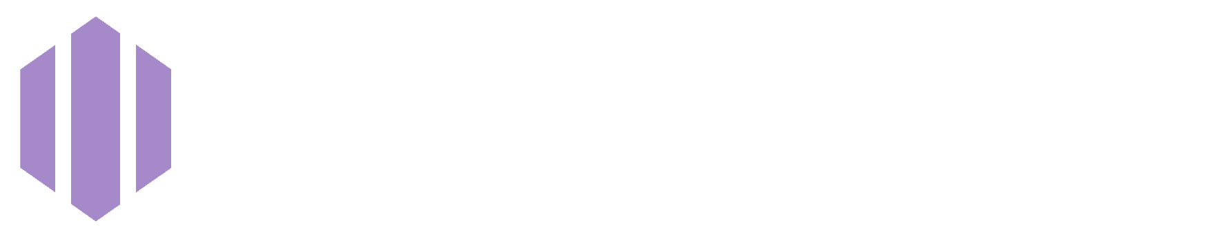 Website Logo